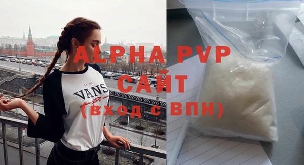 индика Волоколамск