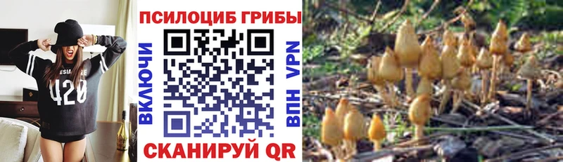 Купить закладки  Междуреченск  Галлюциногенные грибы Cubensis 