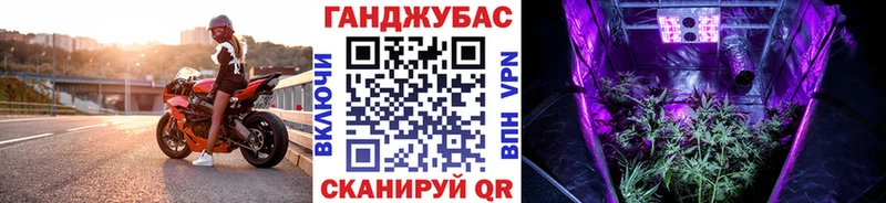 Купить закладки  Междуреченск  Канабис сатива 